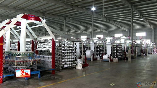 四川厚德新材料科技 技改焕新颜，阀口袋市场宽，新材料技术研发引领行业变革