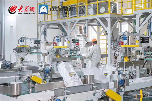 智汇沂南 创新发展⑤丨加速度 舜天化工3条5万吨三聚氰胺生产线将投产 新材料技术研发